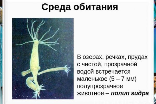 Войти даркнет