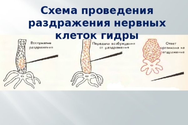 Кракен ссылка прокатис