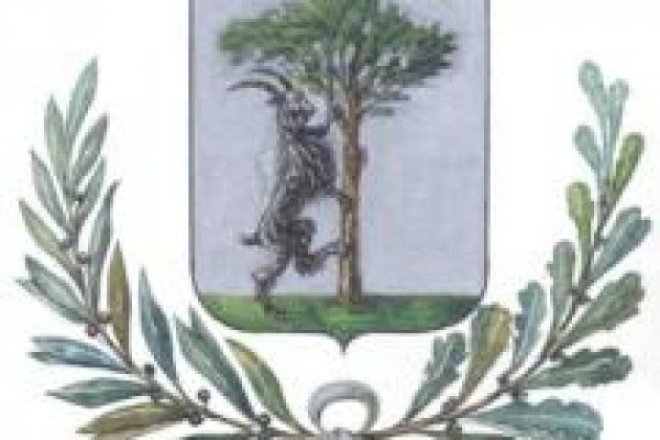 Кракен сайт в тор браузере ссылка