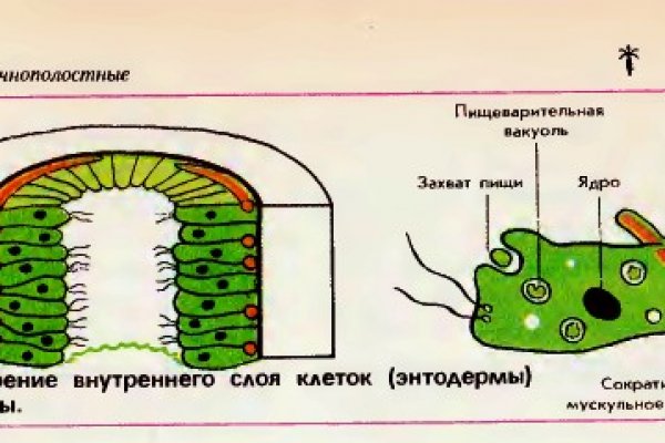 Кракен zerkalo pw