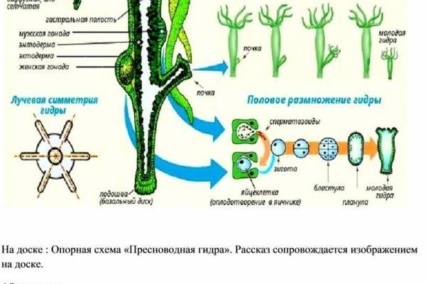 Кракен стор