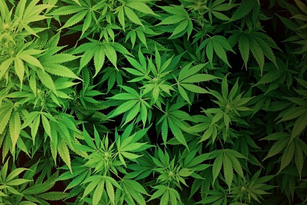 Кракен маркетплейс kr2web in площадка